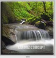 /album/photo-gallery-canvas-uri/decoratiuni-de-perete-canvas-lc-0568-jpg/